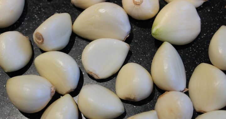 Exploring the Potent Effects of the Garlic Cocktail Strain